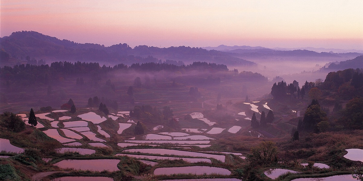 まつだい芝峠温泉 雲海から望む棚田の朝霧